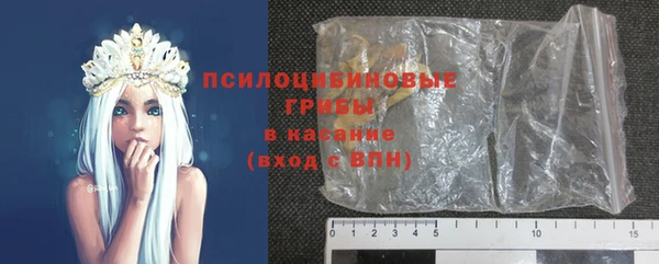 индика Балабаново