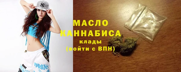 индика Балабаново