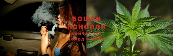 прущие крисы Балахна