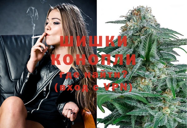 индика Балабаново