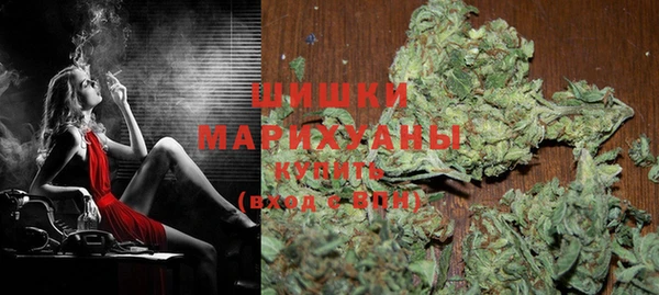 индика Балабаново