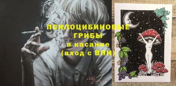 прущие крисы Балахна