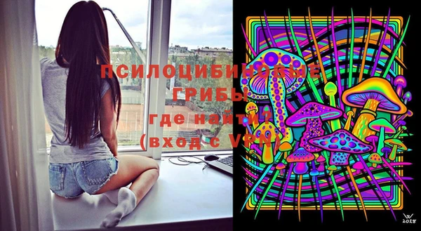 прущие крисы Балахна