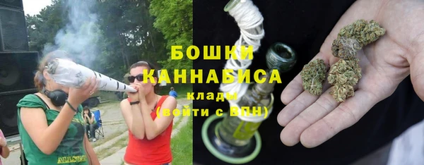 индика Балабаново
